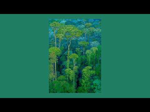 Patrick Denecker, Guy Penson - Scarborough Fair (Recorder & Flemish Harpsichord)