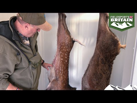 A Year in the Life of Sika, part 2 - Spot the difference