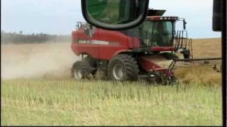 preview picture of video 'Case AFX8010 Canola Harvest'