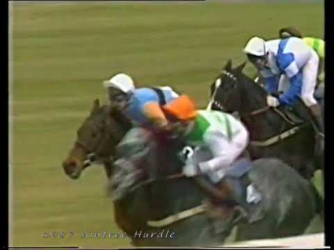 1987 Aintree Hurdle Aonoch