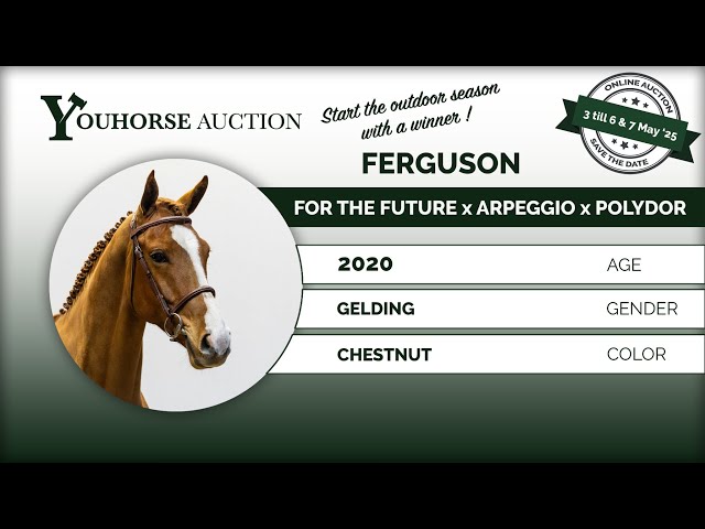 Ferguson