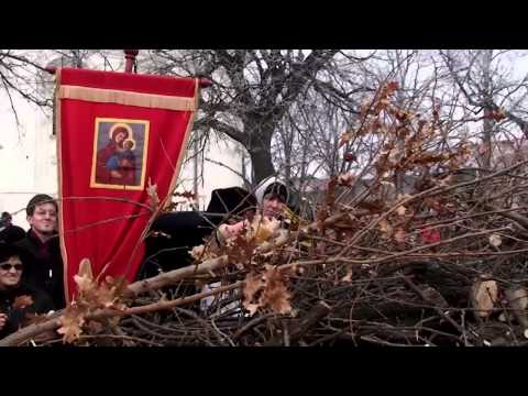 Reka života   Dunav