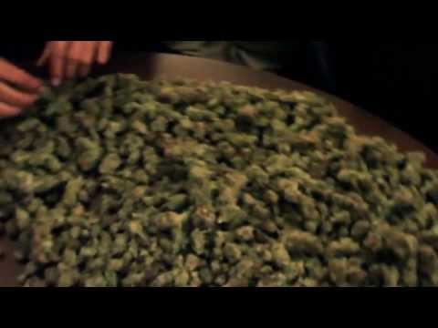 Goldtoes & Berner Present - New Age Hippies