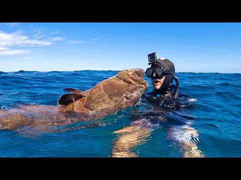 Spearfishing GIANT Groupers In The Bahamas! (Nonstop Action)