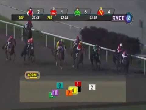 Miracle Man 1st Race in S'pore on 31 10 2014 S R02
