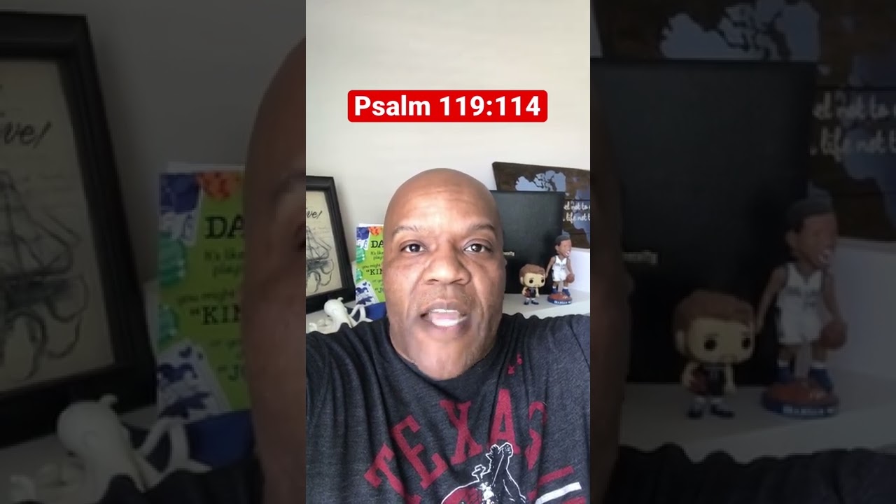 Scripture for today - Psalm 119:114 | Meditate Word | Bible Audio