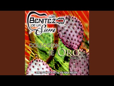 Que Siga la Vacilada