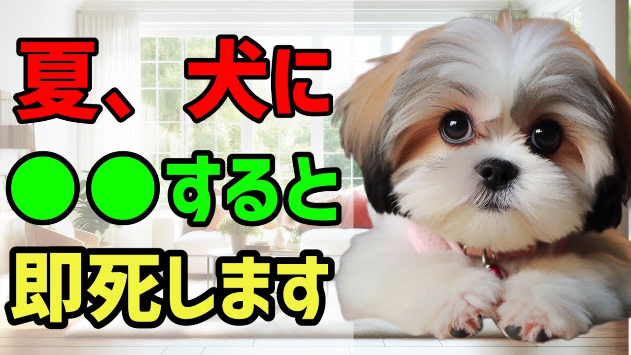 犬が夏に●●すると救急搬送されます 獣医師が警告 雑学 保護犬 熱中症 子犬 犬のいる生活 皮膚炎 外耳炎