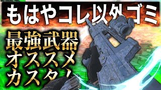 この武器以外ありえません。弱体化までこれ一択です。[MW3]