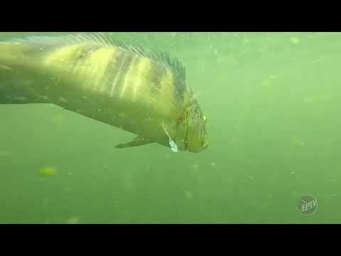 4K | Clipe de encerramento do Terra da Gente - 2022