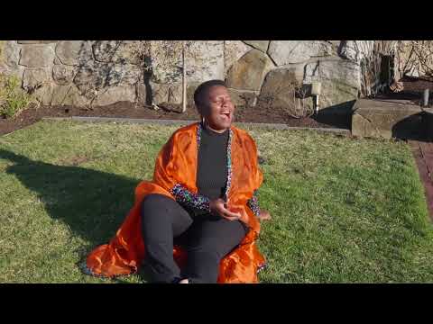 Celebra Vida ( Vanusa 2025)