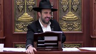 הרב מאיר אליהו | רובוט פוסק הלכות 🤖 | משכן יהודה - ה׳תשפ״ה (הרב מאיר אליהו) - התמונה מוצגת ישירות מתוך אתר האינטרנט יוטיוב. זכויות היוצרים בתמונה שייכות ליוצרה. קישור קרדיט למקור התוכן נמצא בתוך דף הסרטון