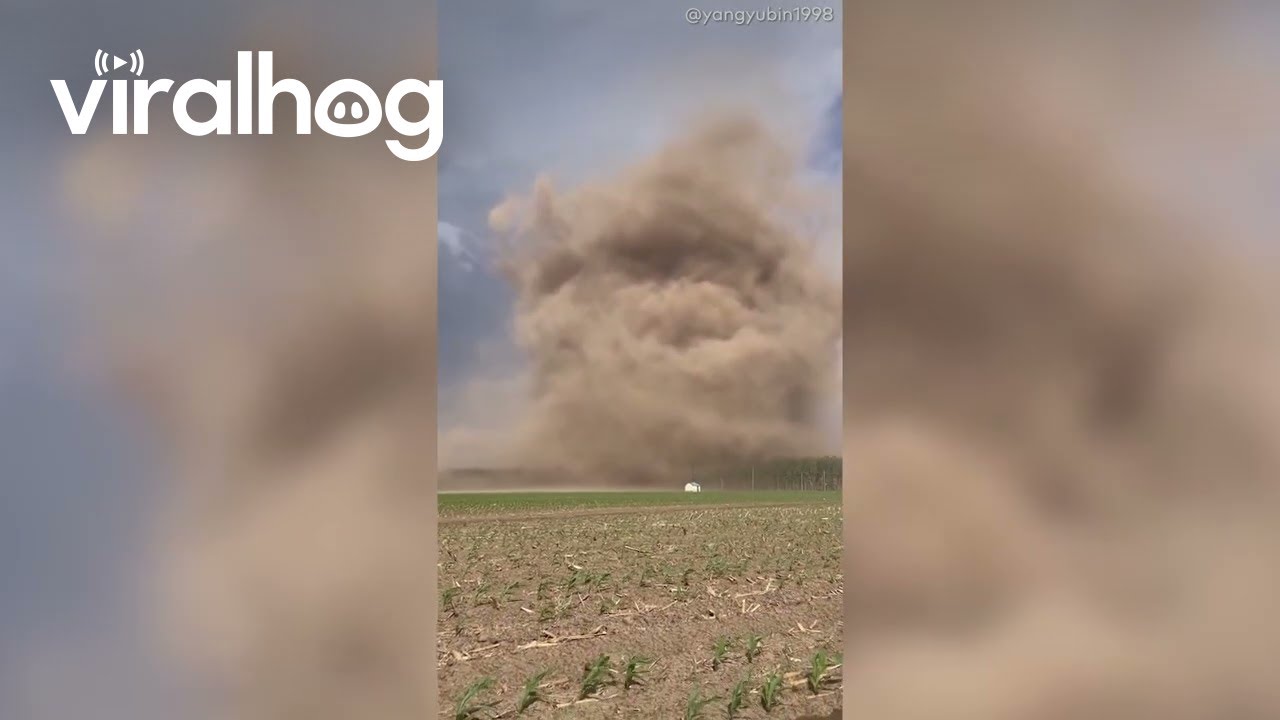 Massive Dust-Wrapped Tornado Sweeps Across Farmland in Northeast China || ViralHog