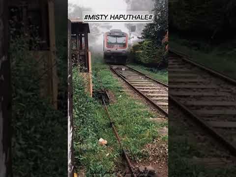 HAPUTHALE#MISTY HAPUTHALE