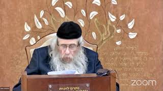 הרה"ג הרב וועכטר שליט"א י' טבת תשפ"ד - ליקוטי שיחות חלק ט"ו שיחה עשרה בטבת חלק ד (הרב אברהם מנחם מענדל וכטר) - התמונה מוצגת ישירות מתוך אתר האינטרנט יוטיוב. זכויות היוצרים בתמונה שייכות ליוצרה. קישור קרדיט למקור התוכן נמצא בתוך דף הסרטון