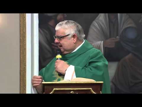 Homilia Santa Missa 08/07/2015 - Pe. Guido