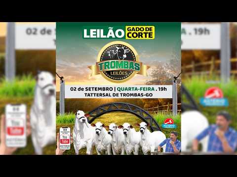 LEILÃO  GADO DE CORTE TROMBAS LEILÕES - TROMBAS GOIAS  - 02 / 09 / 2026