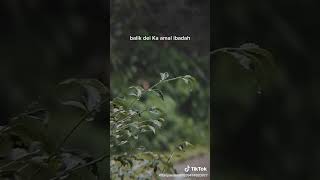 Download lagu pepeling sunda... #pyp#sundanis #karawang mp3