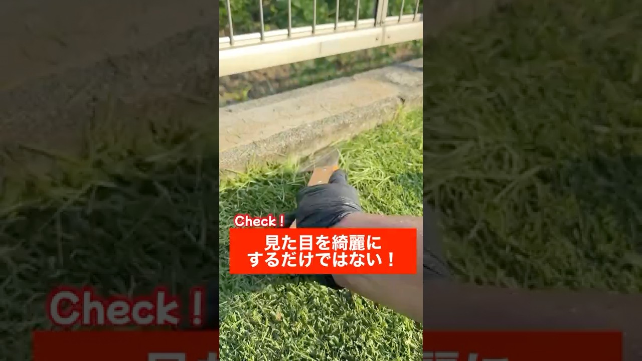 【検証】芝刈りをする本当の理由