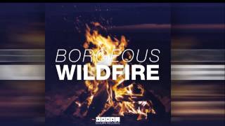 Borgeous - Wildfire (Radio Edit) [Official]