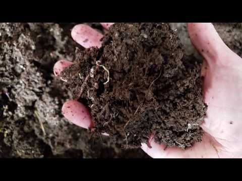Large Scale Worm Farm - Winter Update - Signs of Life!!!