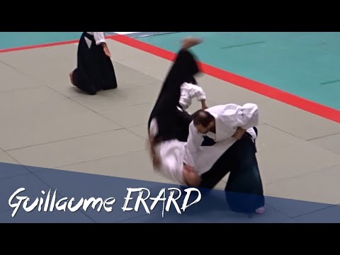 Dynamic Aikido of Guillaume ERARD - 59th All Japan Demonstration