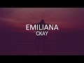 Ckay -- Emiliana (Video Lyrics)|All because of you I be on the phone all night long