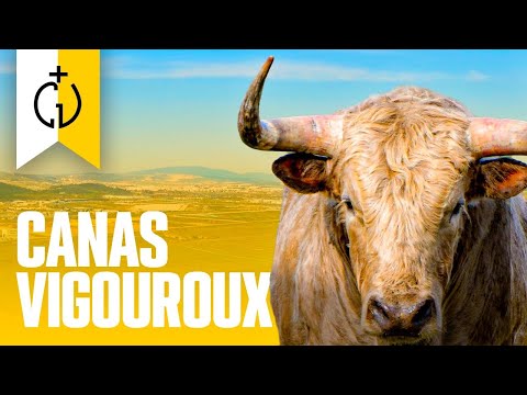 GANADERIA CANAS VIGOUROUX | TOROS 2023 🐂