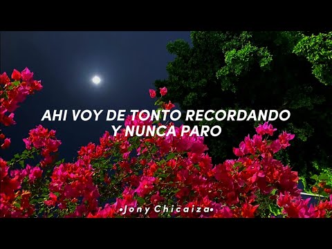 ahí voy de tonto recordando y nunca paro (Letra/Lyrics)