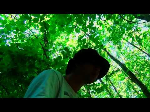 Stygle - Lietūs [Live]