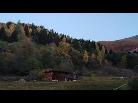 Poiana Mărului - Caraș Severin ..  V. 25 și S. 26 Octombrie 2024 - Video Călătorul Bănățean