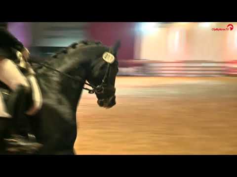 Masterpiece v. Millennium - Drakdream