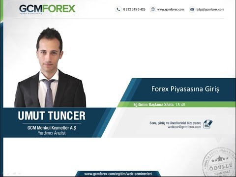Forex e giris