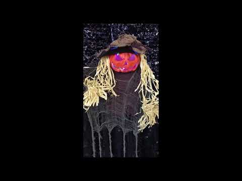 download lagu mp3 mp4 Gene The Pumpkin Man Prices, download lagu Gene The Pumpkin Man Prices gratis, unduh video klip Gene The Pumpkin Man Prices