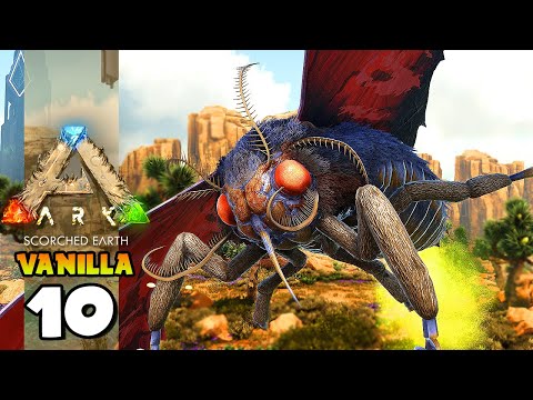 WE GOT OUR FIRST FLYING CHARACTER!!! ARK: SCORCHED EARTH (VANILLA) 10