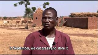 preview picture of video 'Ganame Ousseni - Ninigui village (Yatenga province), Burkina Faso'