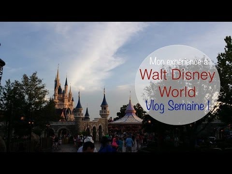 comment postuler a disney world