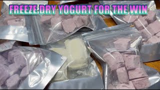 Freeze Drying Yougurt and Cookie Dough Ice Cream