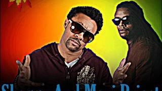 Shaggy And Maxi Priest - Perfect Song