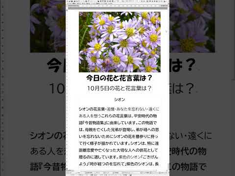 フラワーアレンジメント