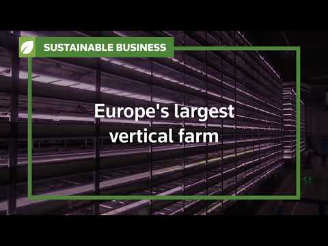 可持續發展的企業。歐洲最大的垂直農場內部 (Sustainable Business: Inside Europe's largest vertical farm)