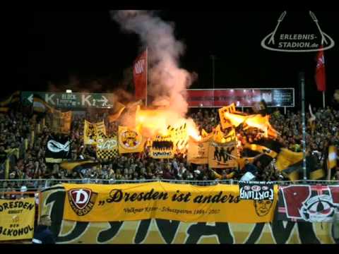 Fußball ist das Leben... - Dynamo Dresden (Dolly D.)