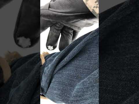 Winter Storm 2/18/2021 Texarkana Texas