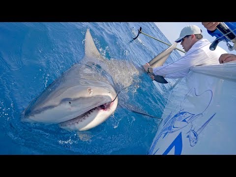 Searching for Wahoo and Monster Shark Fishing with Frogg Toggs - 4K