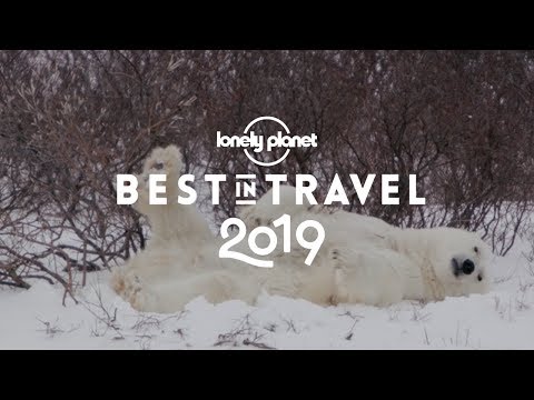 在加拿大，你可以在這裡看到野生北極熊。 (Here's where you can see wild polar bears in Canada)