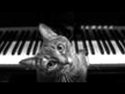 Frank Mills - Kitty On The Keys