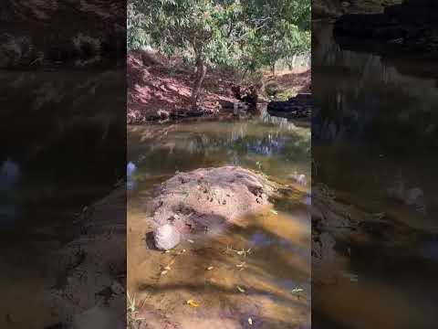 Sítio Baca Quebrangulo Al #vidanaroça #natureza #rio #paisagemnatural