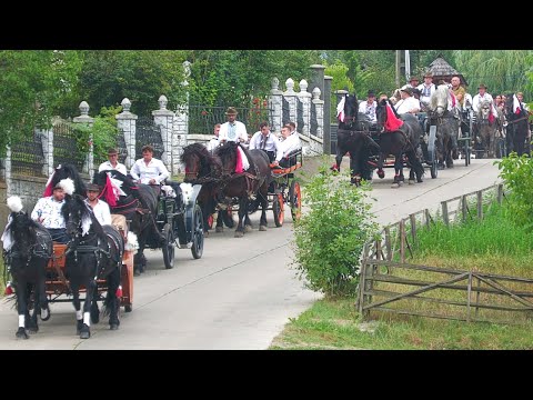 Nuntă în Bucovina cu cai și trăsuri Marian și Bianca Vicovu de Jos 22 August 2024