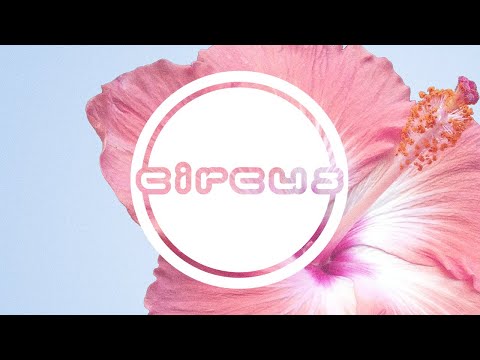 Video thumbnail for Geisha