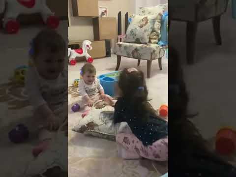 Ablasına bayıla bayıla Gülen Delfin